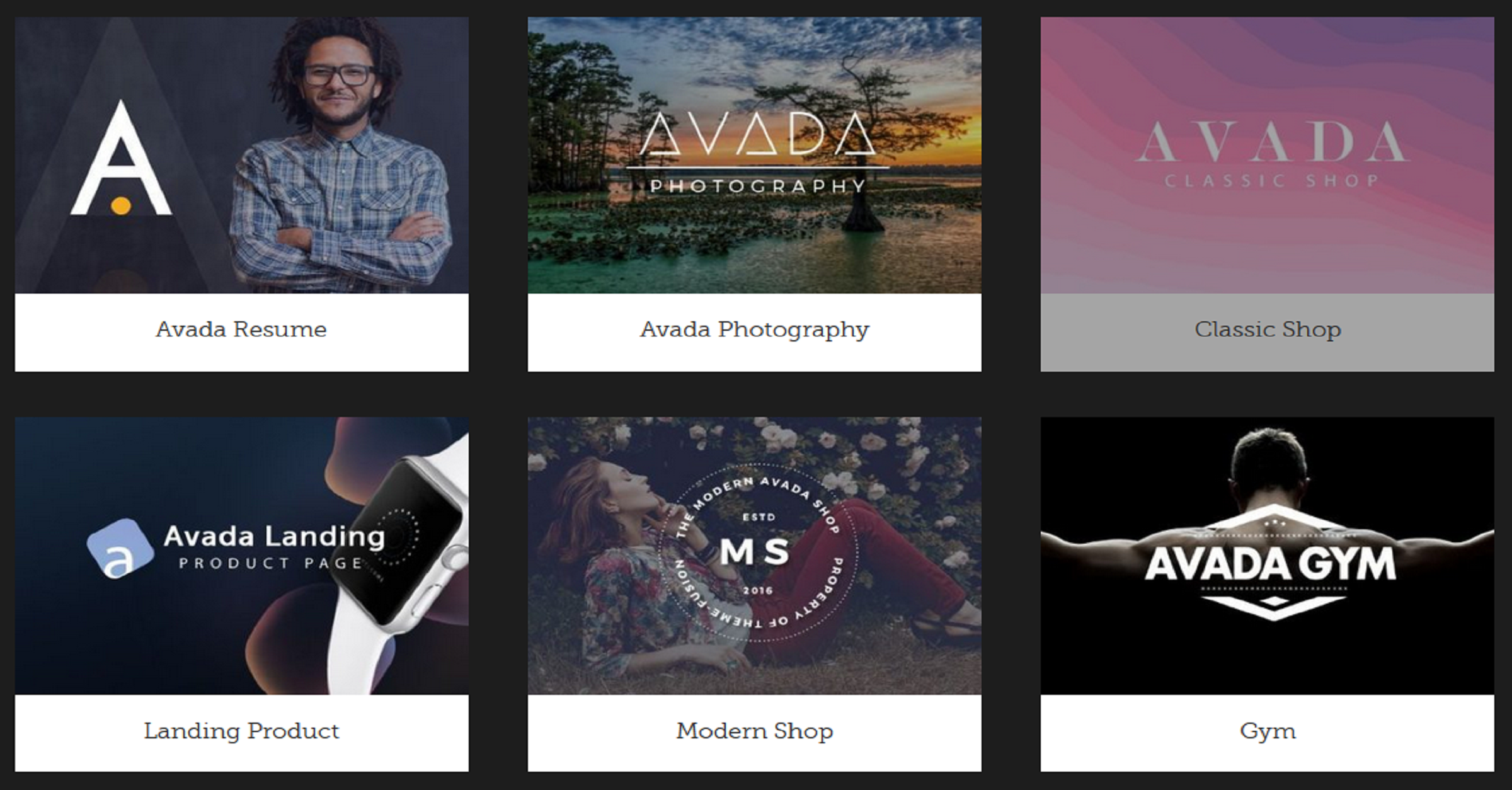 Read more about the article WordPress Ecommerce Themes free Avada